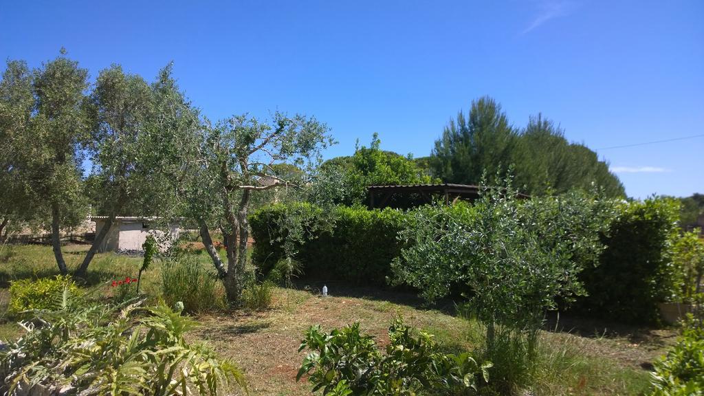 Bed & Breakfast Donna Rosa